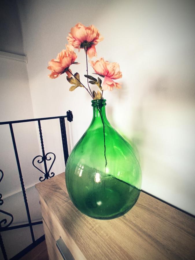 Guesthouse Marija Potpican ภายนอก รูปภาพ